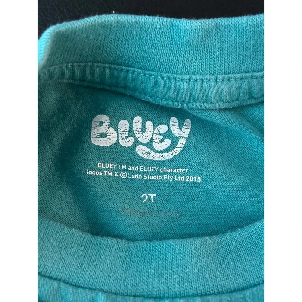 Bluey Lets Play Toddler T-Shirt Teal Green 100% Cotton Size 2T 1350